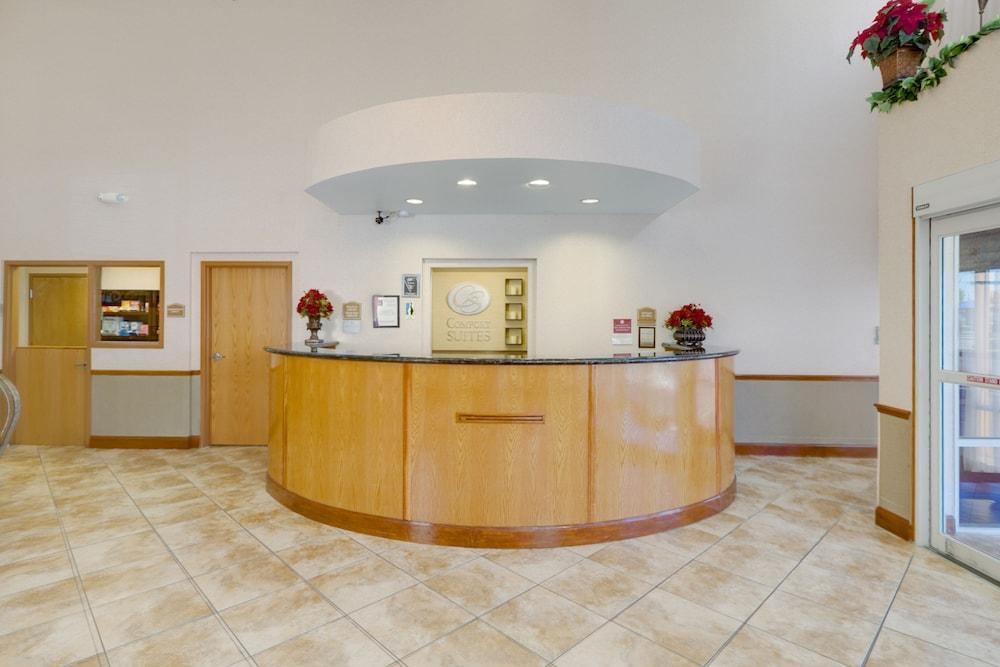 Comfort Suites Tampa Airport North West Chase Eksteriør bilde