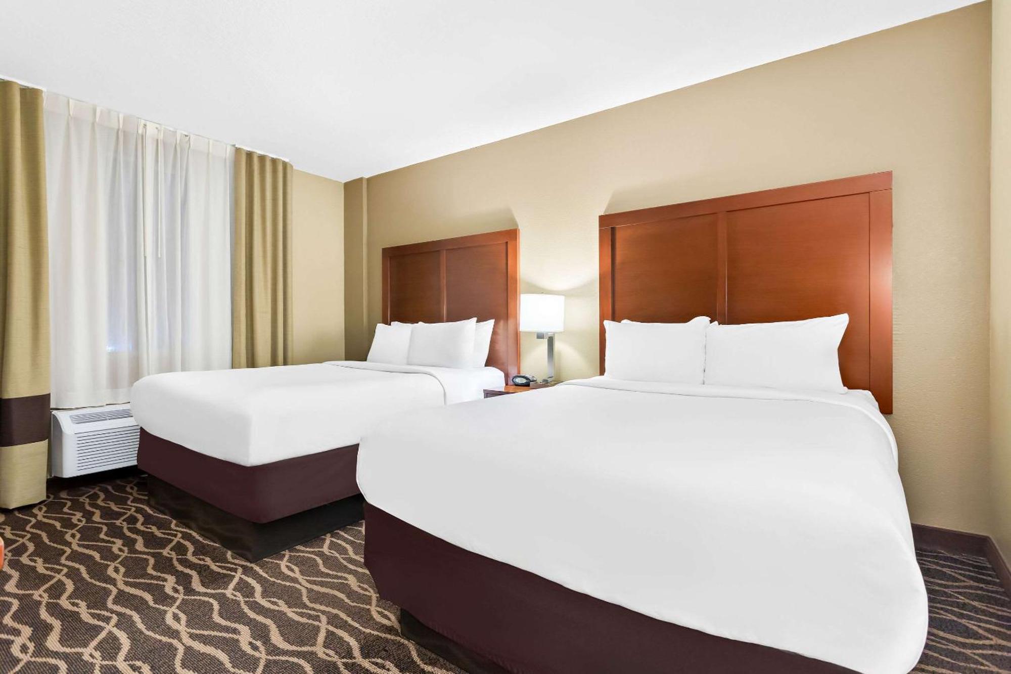 Comfort Suites Tampa Airport North West Chase Eksteriør bilde