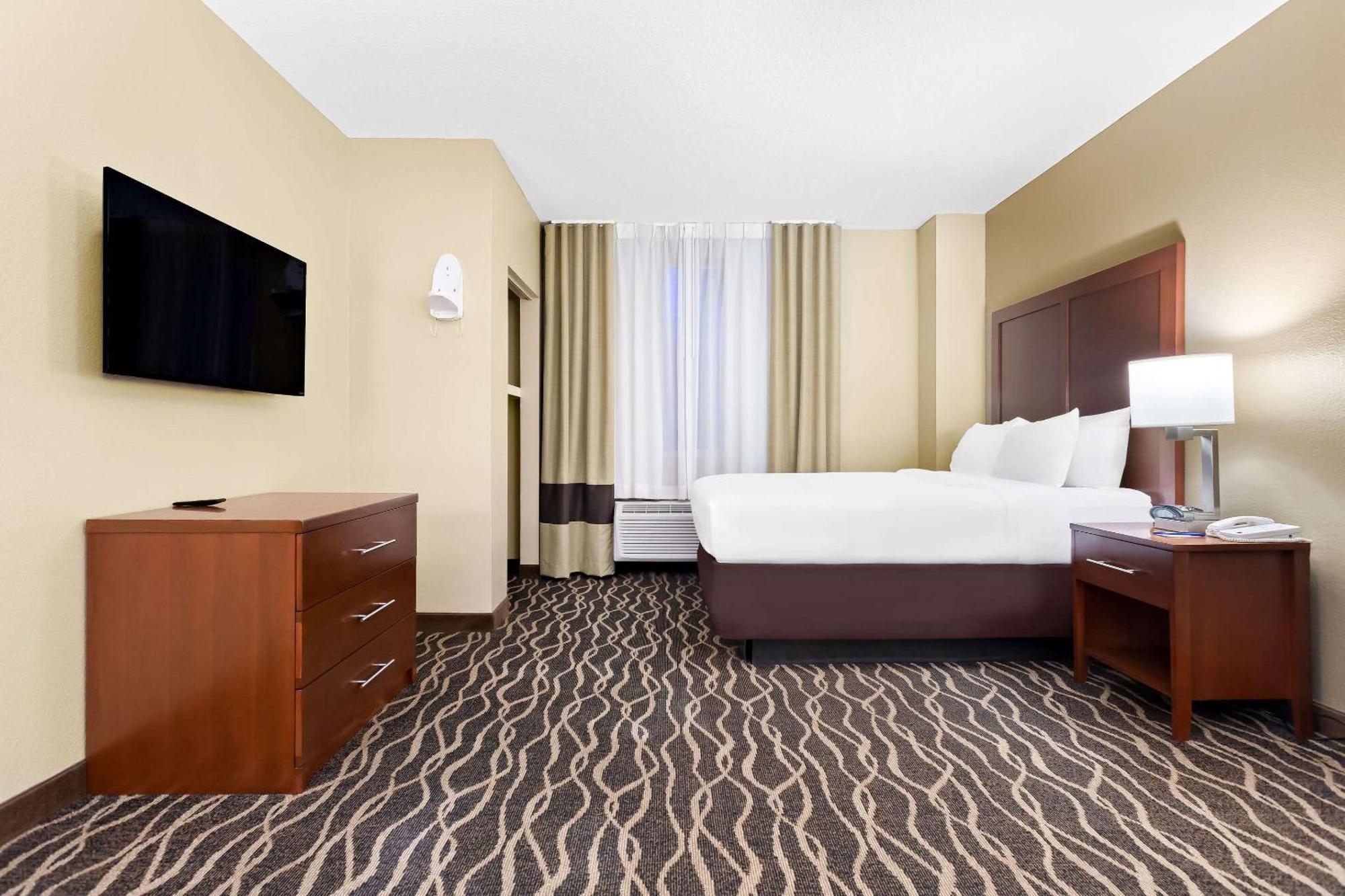 Comfort Suites Tampa Airport North West Chase Eksteriør bilde
