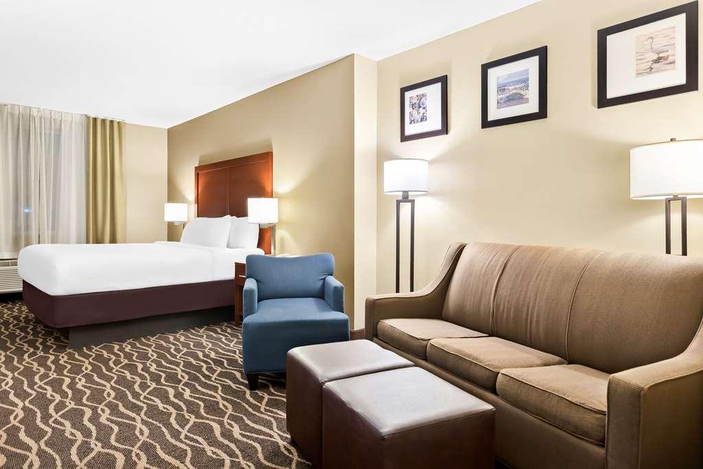 Comfort Suites Tampa Airport North West Chase Rom bilde