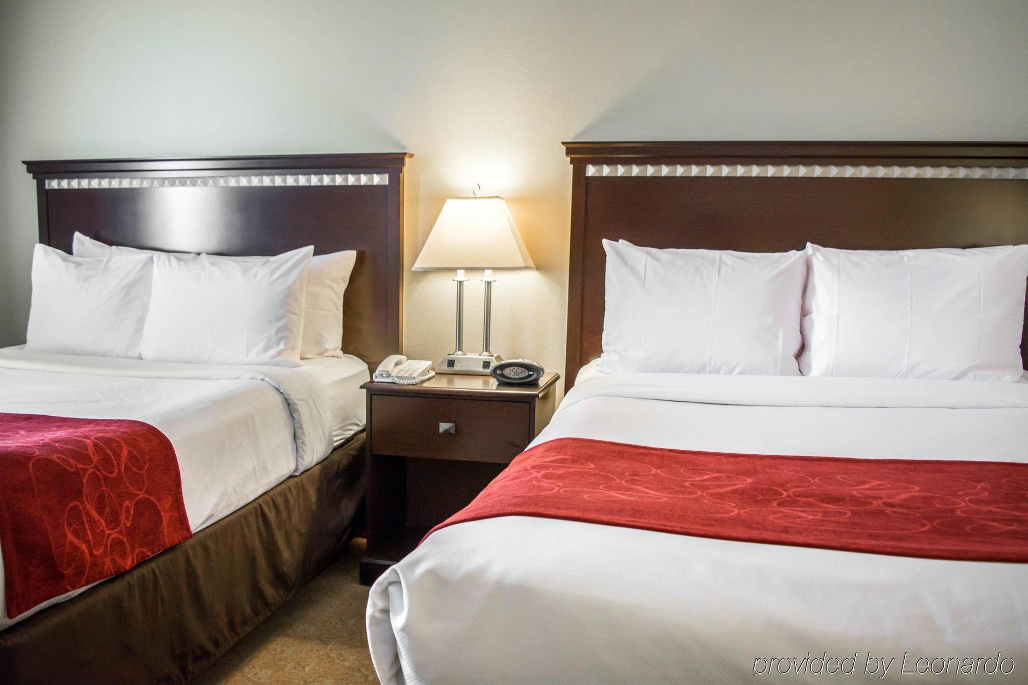 Comfort Suites Tampa Airport North West Chase Eksteriør bilde