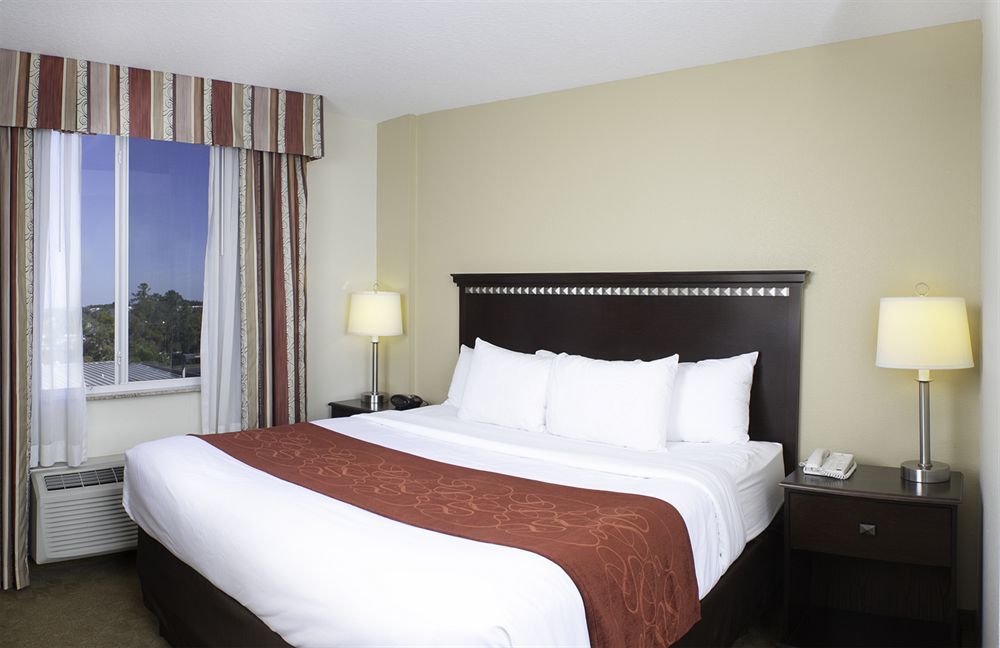 Comfort Suites Tampa Airport North West Chase Eksteriør bilde