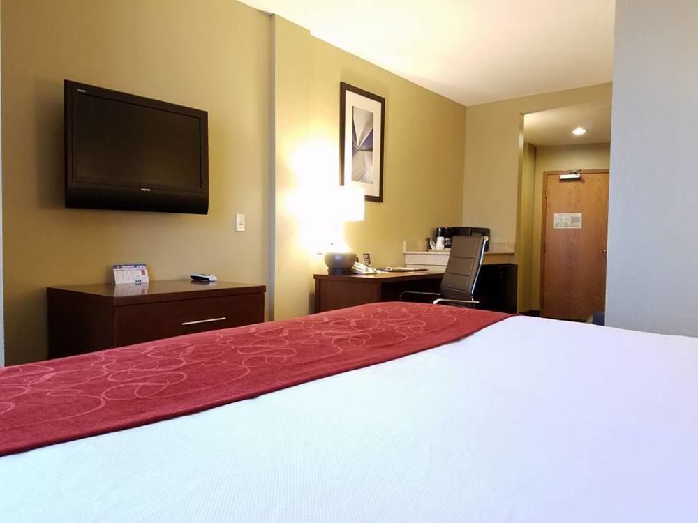 Comfort Suites Tampa Airport North West Chase Eksteriør bilde