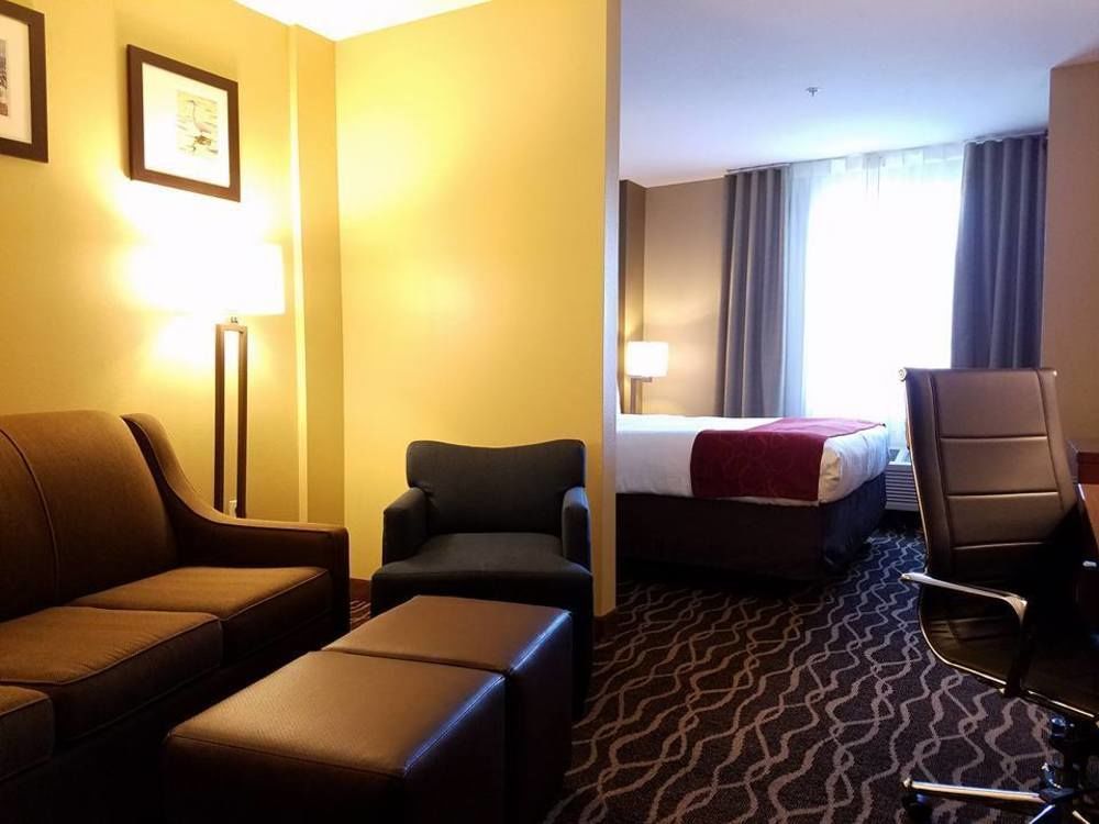 Comfort Suites Tampa Airport North West Chase Eksteriør bilde
