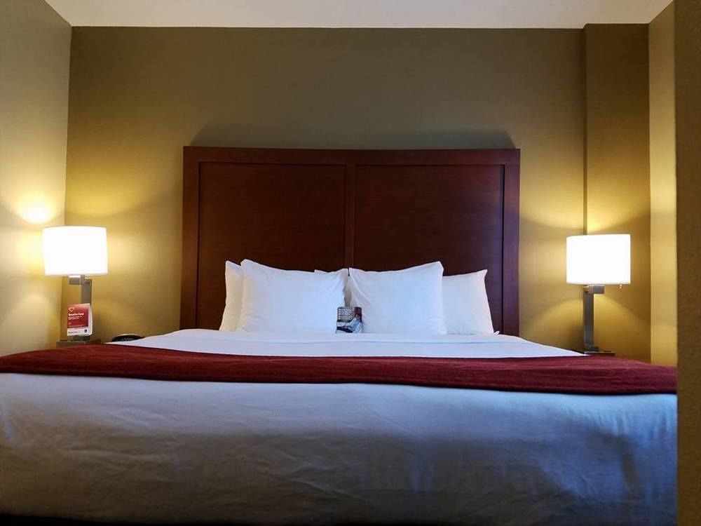 Comfort Suites Tampa Airport North West Chase Eksteriør bilde