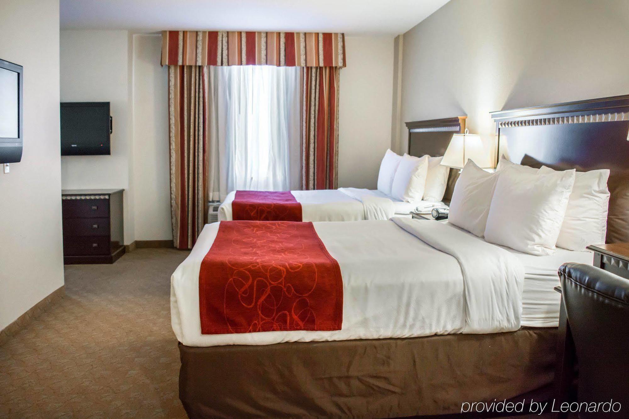 Comfort Suites Tampa Airport North West Chase Eksteriør bilde