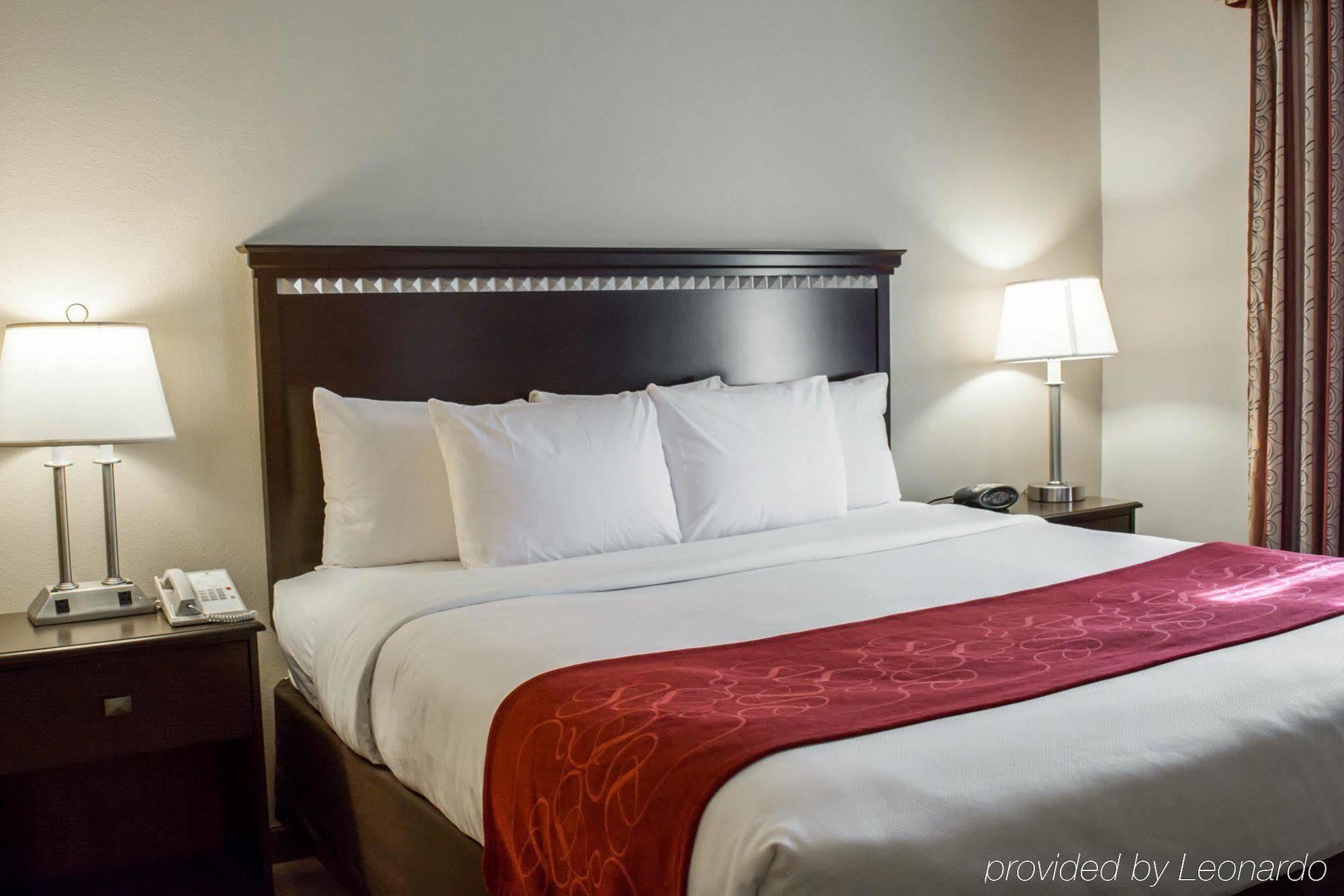 Comfort Suites Tampa Airport North West Chase Eksteriør bilde